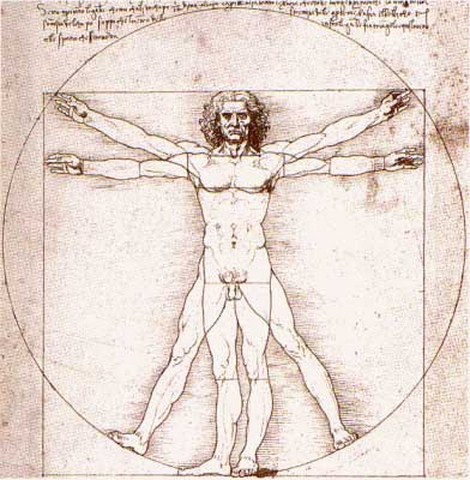 el Hombre de Vitrubio según Leonardo