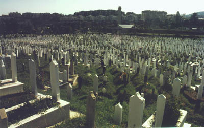 El Gran Cementerio. Sarajevo © 2002 Mariano Arias Páramo