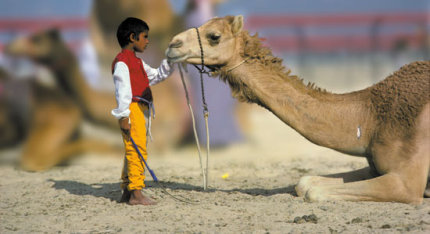 niño jinete con su camello en una carrera en Dubai UAE (foto de Daoud Hkan)