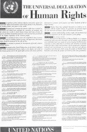 Declaración Universal de los Derechos Humanos 1948